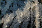 Eiskristalle auf Gras, Foto, jpg